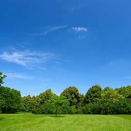 Summer Landscape by Macroworld