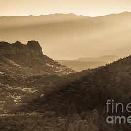 Sun Drenched Canyon