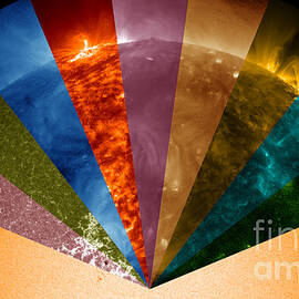 Sun Seen In Different Wavelengths by Science Source