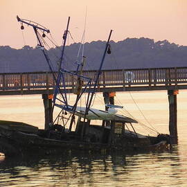 Sunken Boat by Lisa Wooten