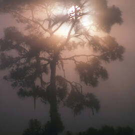 Sunrise by Richard L. Carlton