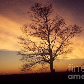 Sunrise Rural Ohio by John Harmon