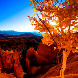 Sunset Fall by Chad Dutson