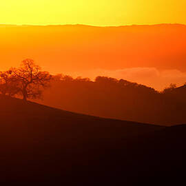 Sunset From Mt. Hamilton