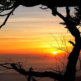 Sunset in a Tree Frame by Alexander Fedin