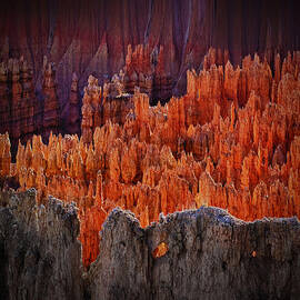 Sunset Point Bryce Canyon Utah by Gary Warnimont