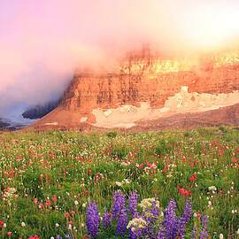 Sunset splendor on Mount Timpanogos by Wasatch Light