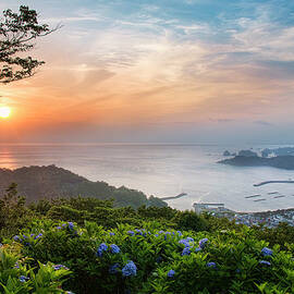 Sunset View From Hydrangea Hills by Tommy Tsutsui
