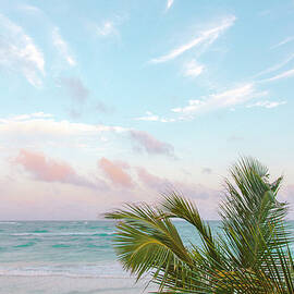Sunset With Palm Trees Blowing In Wind by Sasha Weleber