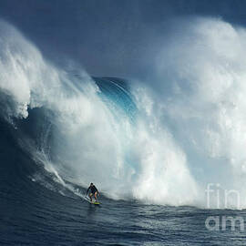 Surfing Jaws Surfing Giants by Bob Christopher