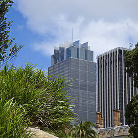 Sydney Cbd Cityscape Seen Beside Plants by Leopatrizi