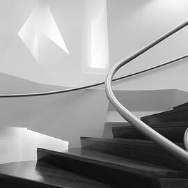 Symphony by Filipe P Neto