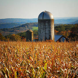 Tanner Hill Farm Connecticut by Sabine Jacobs