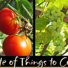 Taste of Things to Come - Kitchen Art and Photography - Photo Foodie Collage - Wide Format