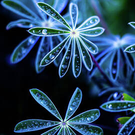 Tears Of Star by Char