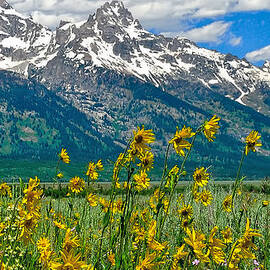 Tetons Peaks and Flowers Right Panel