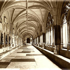 The Abbey by Karen Varnas