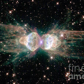 The Ant Nebula Mz3 by Science Source