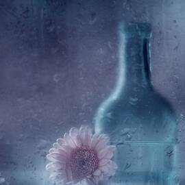 The Blue Bottle by Delphine Devos