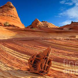 The Bone Yard in the North Coyote Buttes by Henk Meijer Photography