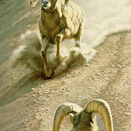 The Challenge by Paul Krapf