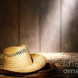 Old West Farmer Hat by Olivier Le Queinec
