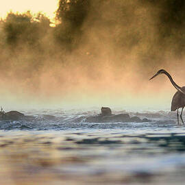 The Fisherman by Rob Blair
