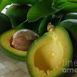 The Fujikawa Avocado by James Temple
