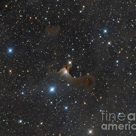 The Ghost Nebula, Vdb 141 by Michael Miller