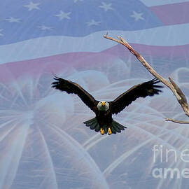 The landing by Lori Tordsen