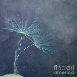The last dance by Priska Wettstein