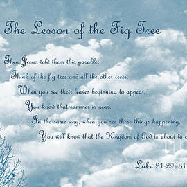 The Lesson of the Fig Tree by Connie Fox