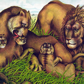 The Lion Family by Georgia Clare