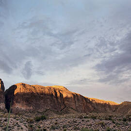 The Mesa De Anguila In Big Bend by Bud Force