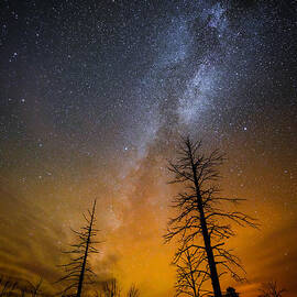 The Milky Way  by Adam Schallau