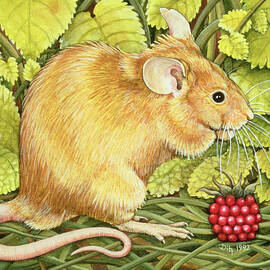 The Raspberry Mouse by Ditz