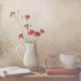 The Red Flowers by Delphine Devos