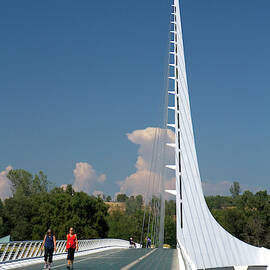 The Sundial Bridge At Turtle Bay by David R. Frazier