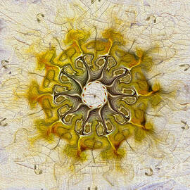 The Sundial by Deborah Benoit