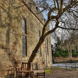 Warwick Castle Tree And Bench by Darren Wilkes