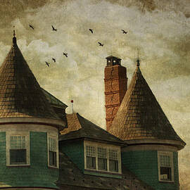 The Victorian by Fran J Scott