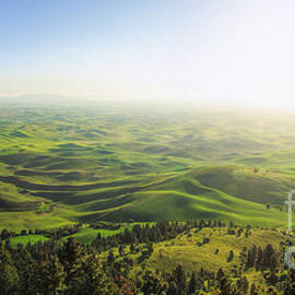 The View - Palouse Country by Beve Brown-Clark Photography