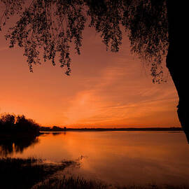 This is a New Day ... by Juergen Weiss