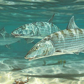 Three Bonefish and Crabs by Don  Ray