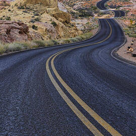 Through The Desert by Rick Berk