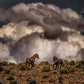 Thunder on the Mountain by Janis Knight