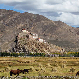 Tibetan Castle And Fields by Wulingyun