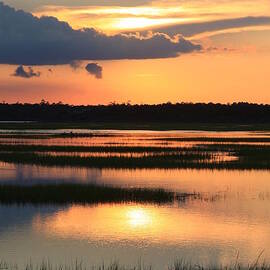 Tidal Marsh- Wilmington NC