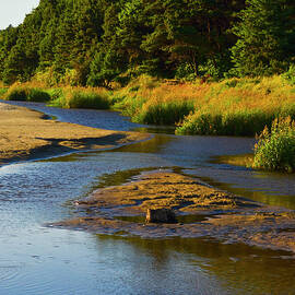 Tidal Pool by James Emery