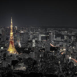 Tokyo At Night by Carlos Ramirez